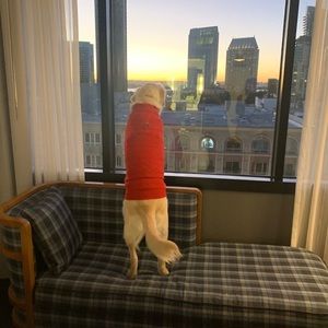 Meet your Posher, Calum